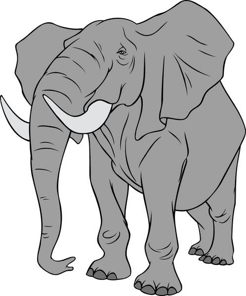 فیل کارتون شیرشاه