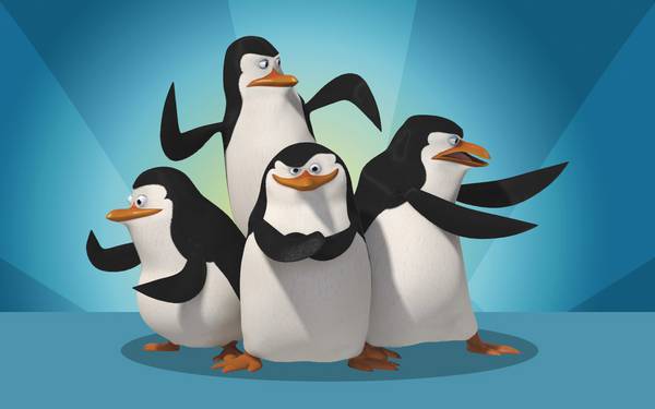 پنگوئن ها در پس زمینه آبی