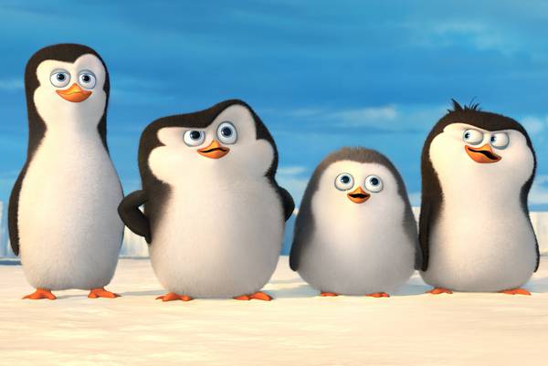 کودکی پنگوئن های مادگاسکار