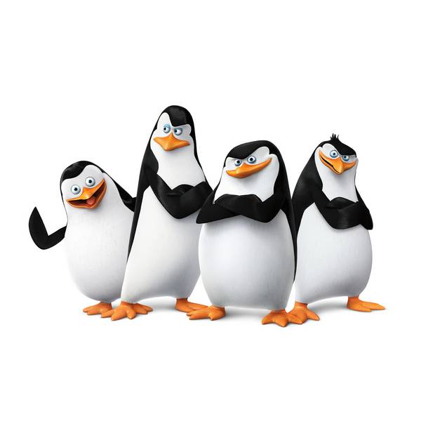 4 پنگوئن مادگاسکار در پس زمینه سفید