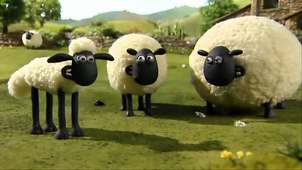 جمعی از گوسفندان در کارتون بره ناقلا در مزرعه