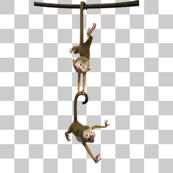 دو میمون آویزان از هم در پس زمینه شفاف و کارتون ریو