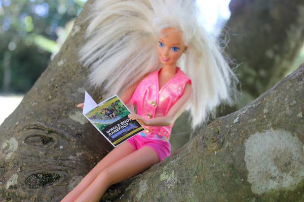 عروسک باربی درحال مطالعه کتاب و مجله روی شاخه درخت