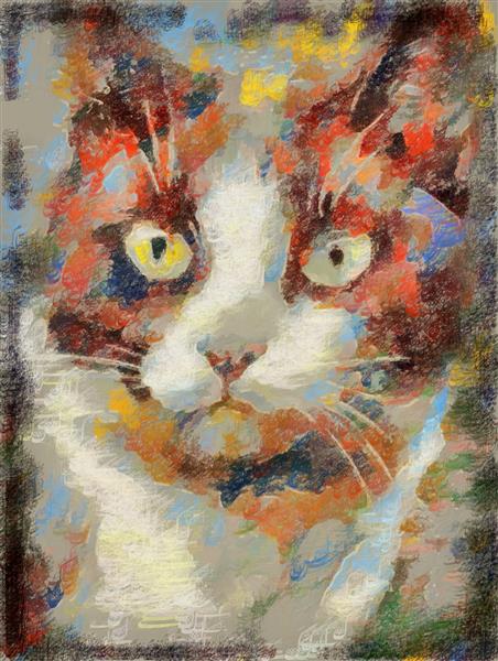 چشمان خیره گربه طرح نقاشیخط زیبای ایرانی با خوشنویسی نستعلیق