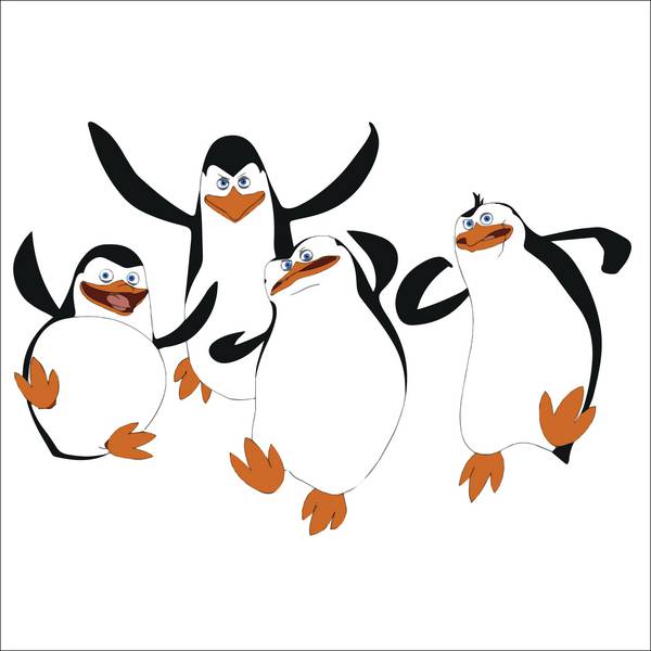 پنگوئن های ماداگاسکار