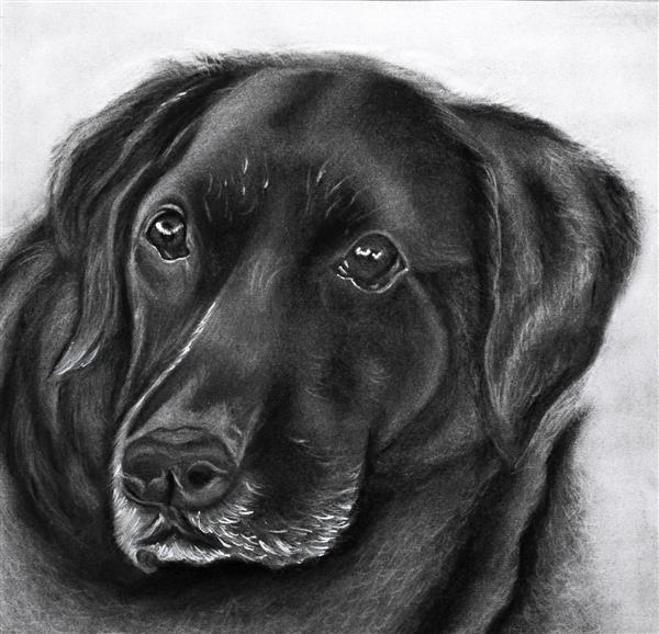 سیاه جذاب تابلو سگ سیاه با تکنیک سیاه قلم