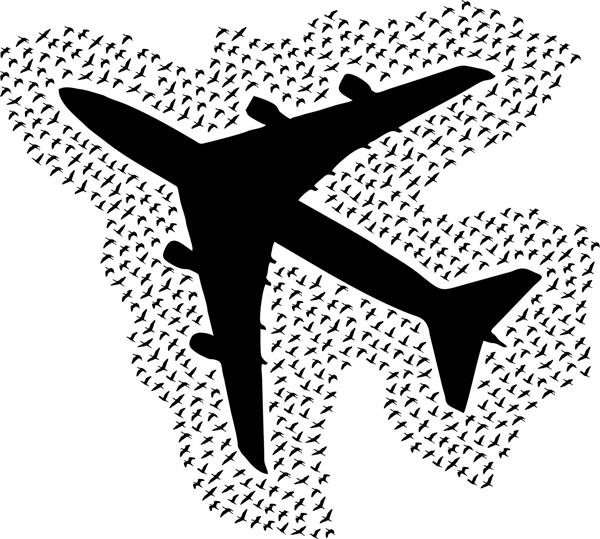 وکتور قابل چاپ تسلیت حادثه هواپیما با پرندگان