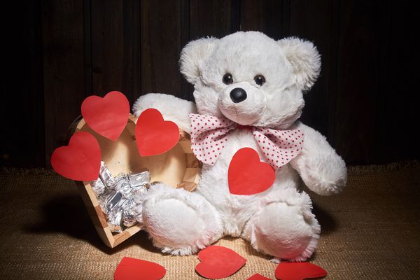 یک خرس قطبی و کارتهای روز ولنتاین amp x27؛ s قلب قلب چوبی را با آب نبات در یک فویل در برابر پس زمینه تاریک نگه می دارد و یک قلم مو را روشن می کند