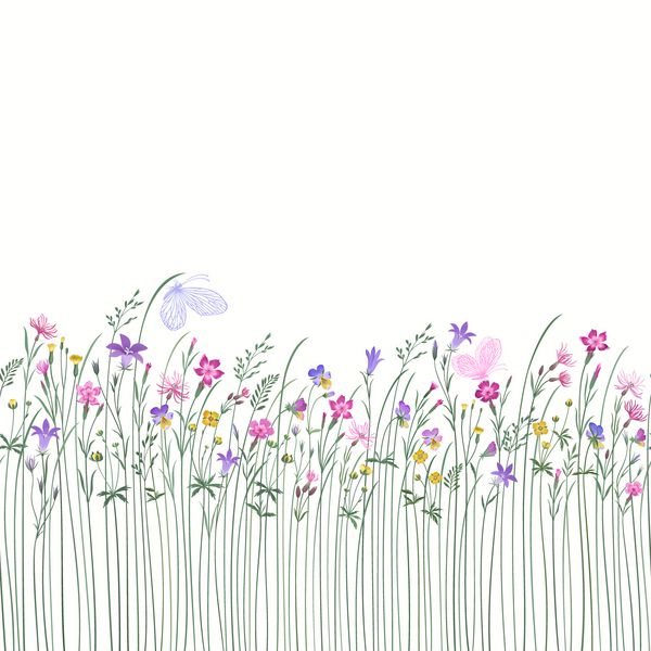 مرز گل یکپارچه با گلهای علفی و پروانه ها