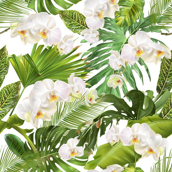الگوی بدون درز گیاه شناسی با برگهای گرمسیری گلهای ارکیده روی رنگ سفید طراحی زمینه لوازم آرایشی اسپا عروسی صفحه وب فروش تابستان بهترین نوع برای چاپ سبک هاوایی کاغذ بسته بندی