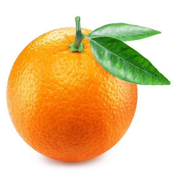 میوه نارنجی با برگهای نارنجی مسیر قطع