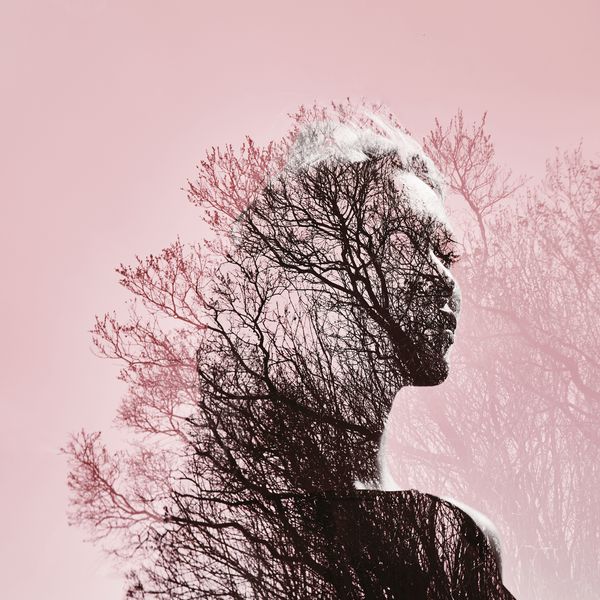 پرتره دختری با قرار گرفتن در معرض مضاعف در برابر تاج درخت پرتره مرموز ظریف زن با آسمان صورتی