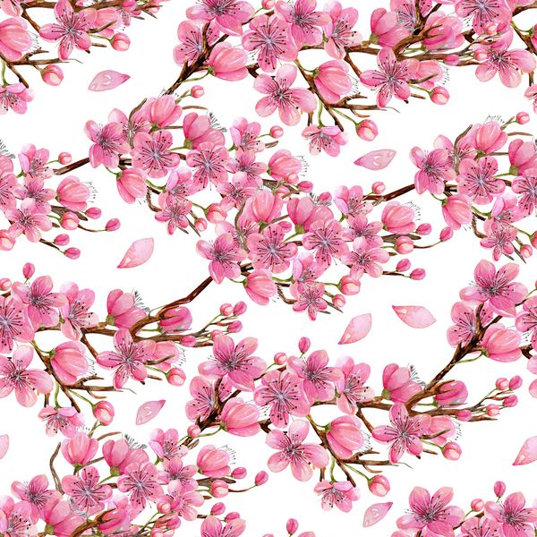 آبرنگ بهار گل شکوفه درخت گیلاس شاخه های بدون درز دست نقاشی شده بر روی یک پس زمینه سفید
