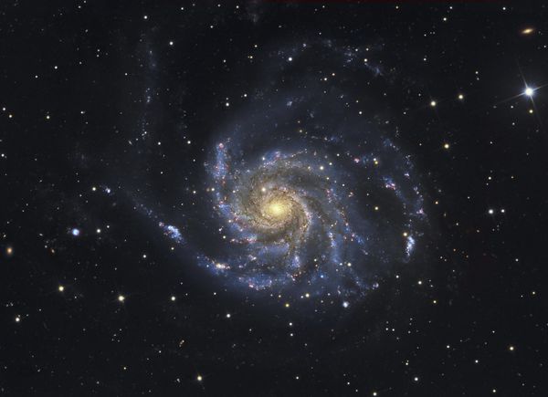 Galaxy M101 در اورسا عمده