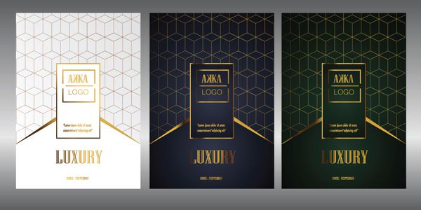 طراحی منوی Luxury Premium Cover Cover Package کیف گزارش سالانه مالی برای الگوی طراحی چیدمان بروشور کسب و کار طراحی Flyer یا تبلیغات جزوه تصویرگر اندازه A4