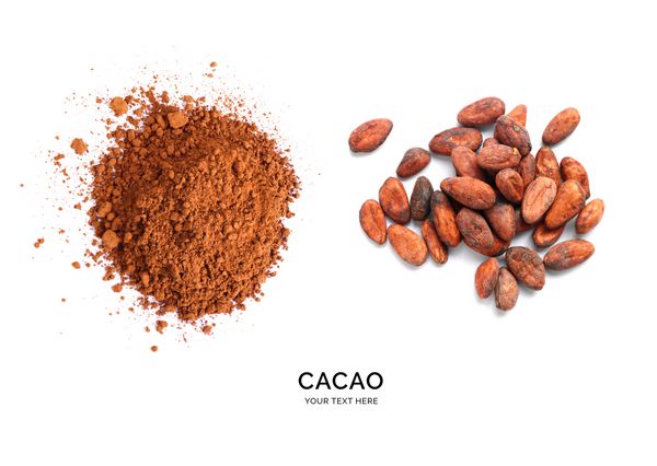 طرح خلاق ساخته شده از پودر کاکائو و لوبیا کاکائو در زمینه سفید دراز کشیدن مفهوم غذا مفهوم کلان