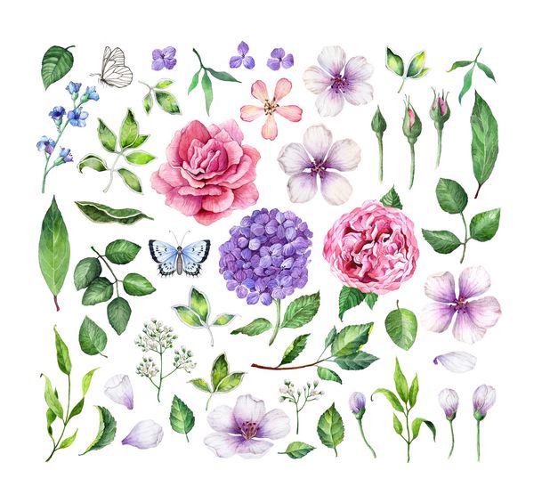 مجموعه بزرگی از گلها گل رز گل آبی گلهای درخت سیب برگها گلبرگها و پروانه های جدا شده در زمینه سفید نقاشی آبرنگ هنر