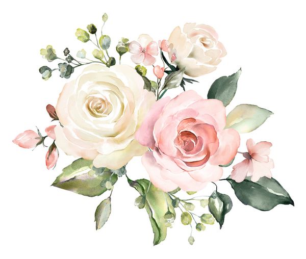 گلهای آبرنگ تصویر گل برگ و جوانه ها ترکیب گیاه شناسی برای عروسی یا کارت تبریک شاخه گل گلهای انتزاعی هیرانژنه