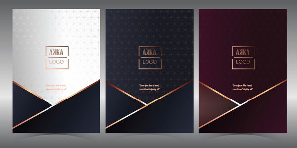 طراحی منوی Luxury Premium Cover Cover Package کیف گزارش سالانه مالی برای الگوی طراحی چیدمان بروشور کسب و کار طراحی بروشور یا تبلیغات جزوه تصویر با ابعاد A4