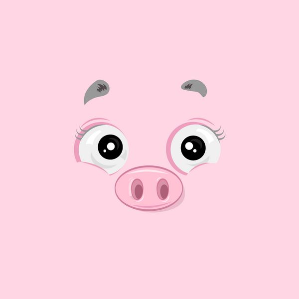 تصویر برداری از چهره خوک خوک در پس زمینه صورتی