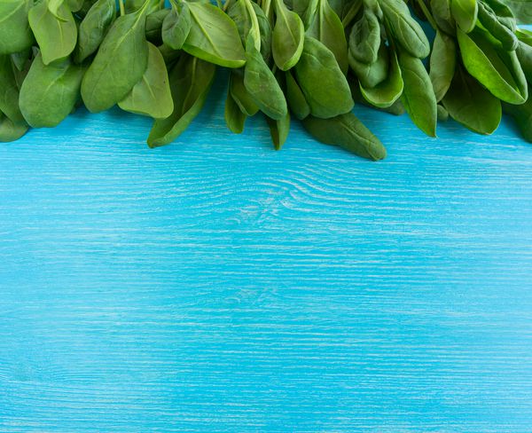 سبزیجات سبز اسفناج روی زمینه چوبی آبی نمای بالا سبزیجات در مرز تصویر با فضای کپی متن