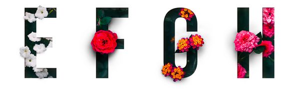 فونت گل الفبای e f g h از گلهای زنده واقعی با شکل برش کاغذهای گرانبها ساخته شده است مجموعه ای از قلم فلور درخشان برای دکوراسیون بی نظیر خود در بهار تابستان amp amp؛ بسیاری از ایده های ایده