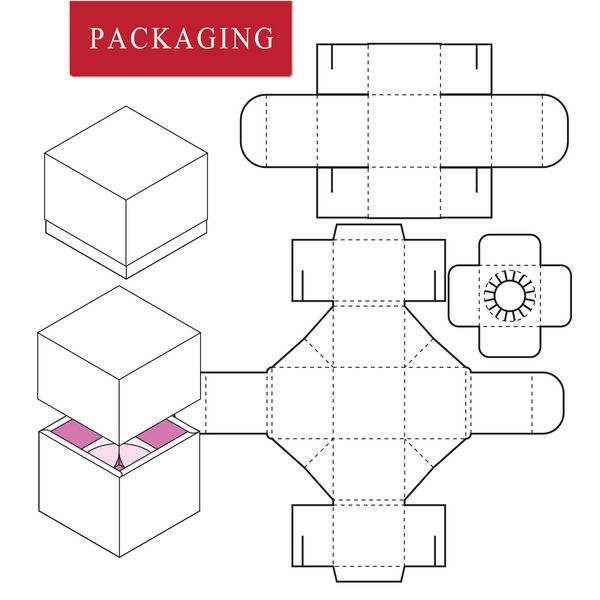 بسته بندی DesignVector تصویر از الگوی BoxPackage جدا شده خرده فروشی سفید را مسخره کنید