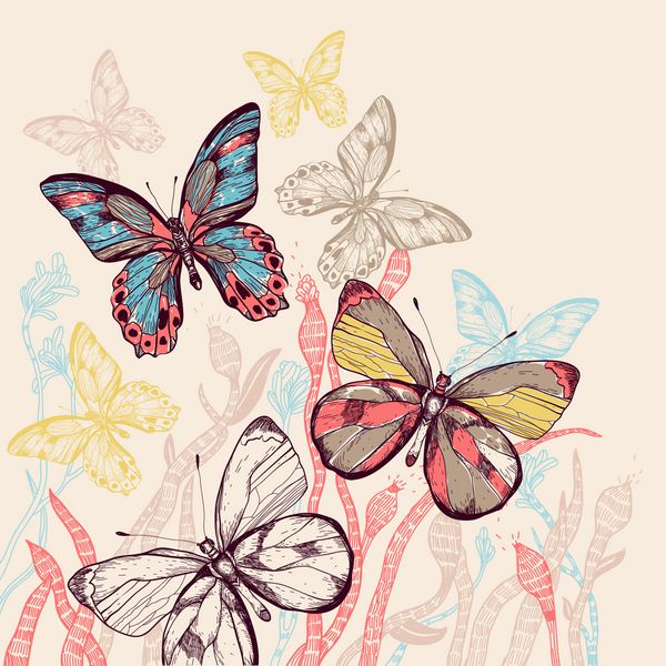 تصویر برداری پروانه های پرنده رنگارنگ