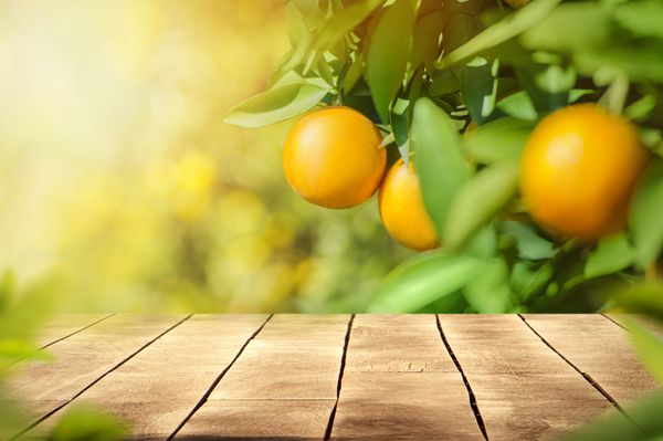 میز چوبی و فضای آزاد برای متن با زمینه درختان میوه نارنجی