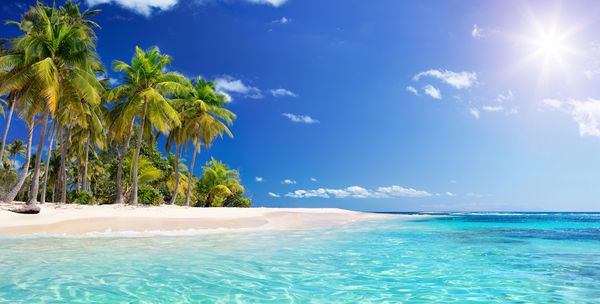 ساحل پالم در جزیره بهشتی استوایی گرمسیری کارائیب گوادالوپ