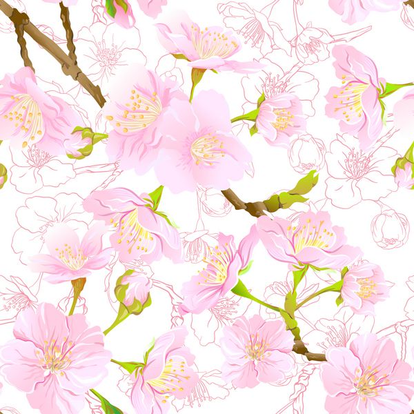 الگوی بدون درز پس زمینه با شکوفه ساکورای ژاپنی گیلاس در رنگ های صورتی صورتی نرم تصویر برداری سهام جدا شده بر روی زمینه سفید الگوی رنگی و خلاصه