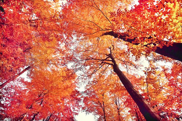 عکس خفن عکس طلوع پاییزی