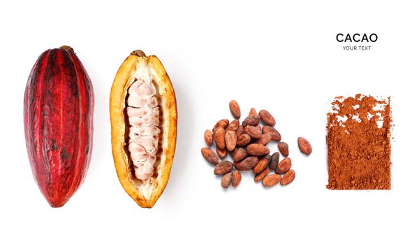 طرح خلاق ساخته شده از پودر کاکائو میوه کاکائو و لوبیا کاکائو در زمینه سفید دراز کشیدن مفهوم غذا مفهوم کلان