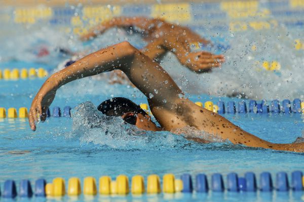 شرکت کنندگان مرد در یک مسابقه شنا رقابت می کنند