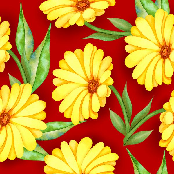 تصویر الگوی رسم شده با آبرنگ با گلهای زردآلو و برگهای سبز در زمینه قرمز گل بنفش مفهوم گل عاشقانه بهار و تابستان