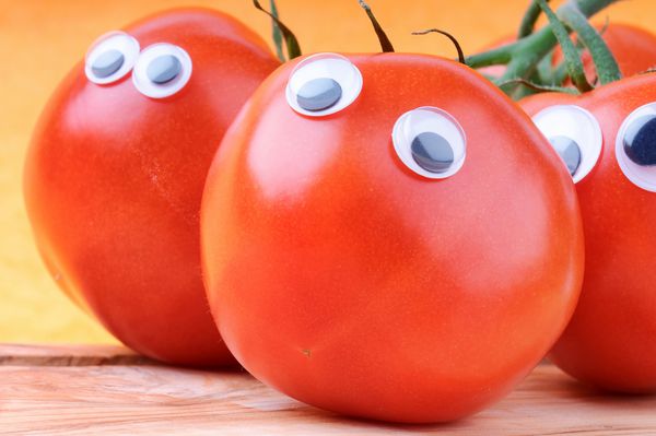گوجه فرنگی خنده دار با چشمان مسخره