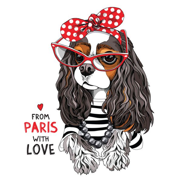 چارلز اسپانیل سگ چاویال در یک ژاکت کش راه راه در عینک آفتابی قرمز و با پیشانی نقطه قطب قطره ای نقل قول نامه از پاریس با عشق تصویر برداری