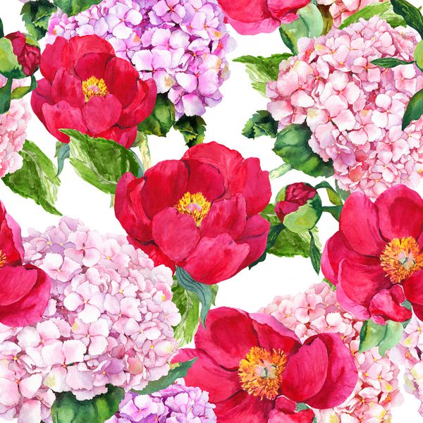 گلهای هیرانتانتا صورتی و گلهای قرمز رنگ تکرار الگوی گل آبرنگ