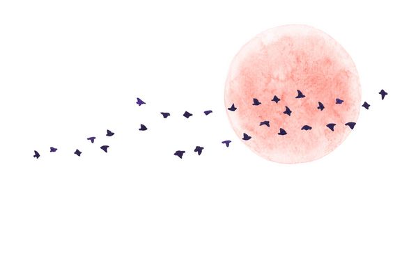 نقاشی آبرنگ تصویر کشیده شده دست ماه قرمز و پرندگان پرنده جدا شده در پس زمینه سفید عناصر طراحی چشم انداز طبیعت
