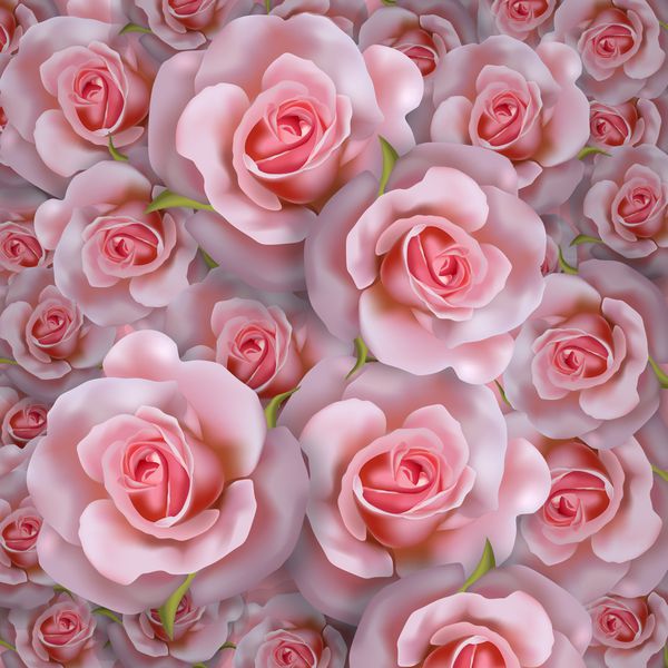 زمینه عاشقانه زیبا با گل رز صورتی واقعی الگوی سه بعدی گل وکتور