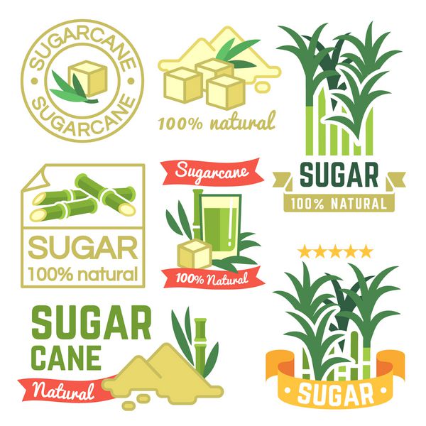 برچسب های تولید شکر نشان های مزرعه نیشکر و مجموعه وکتور نماد تصویر قند نیشکر گیاه برداشت شیرین
