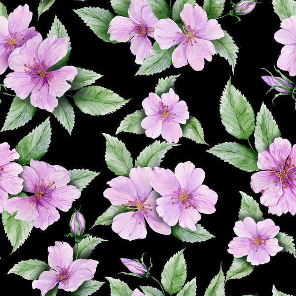 گلهای زیبا گل رز با برگهای روی زمینه سیاه الگوی گل بدون درز نقاشی آبرنگ دست نقاشی گیاهان کاغذ دیواری طراحی پارچه