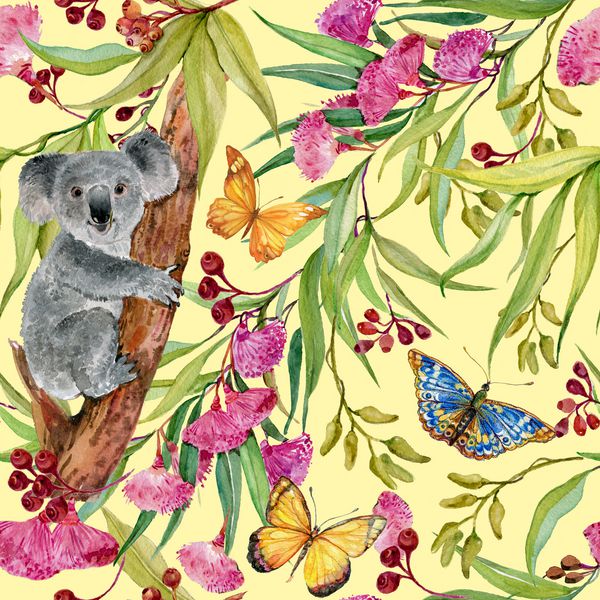 کولا روی درخت اکالیپتوس و پروانه ها الگوی بدون درز برای چاپ روی پارچه تصویر زمینه تصویر نقاشی دست آبرنگ