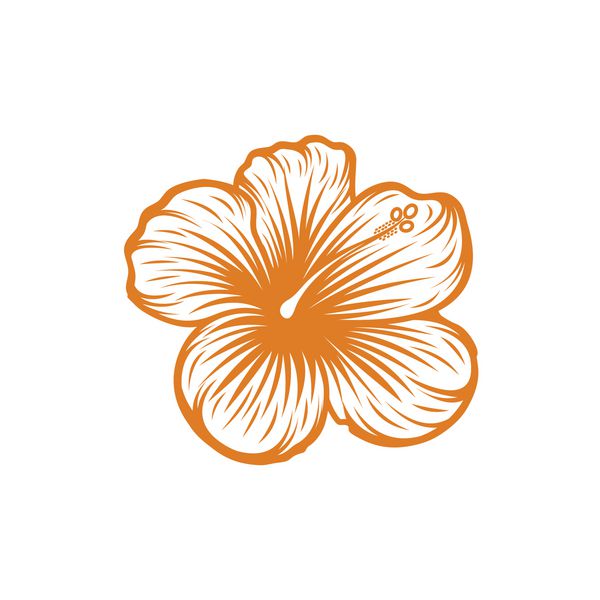 نماد Hibiscus icon line vector art گیاه عجیب و غریب گرمسیری هاوایی جدا شده است