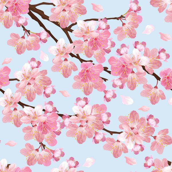 الگوی بدون درز الگوی پس زمینه گل ساکارا مجموعه وکتور گلهای شکوفه ای برای دعوت های تعطیلات کارت تبریک و طراحی مد