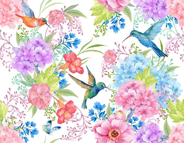 پرندگان و گل های زرشک الگوی بدون درز برای پارچه نقاشی با دست Wallpaperwatercolor