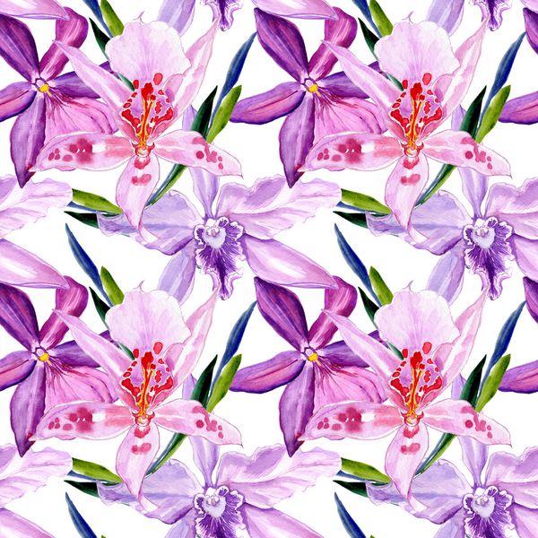 الگوی گل ارکیده گل وحشی به سبک آبرنگ نام کامل گیاه ارکیده رنگارنگ گل وحشی Aquarelle برای پس زمینه بافت الگوی بسته بندی قاب یا حاشیه
