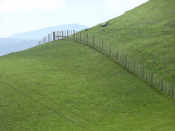 ترکیب انتزاعی نشان دادن خط حصار در زمین های زراعی سرسبز و برش یک خط برازنده در سراسر خطوط تپه در پارک منطقه ای بلمونت در نزدیکی پایین هوتل نیوزیلند