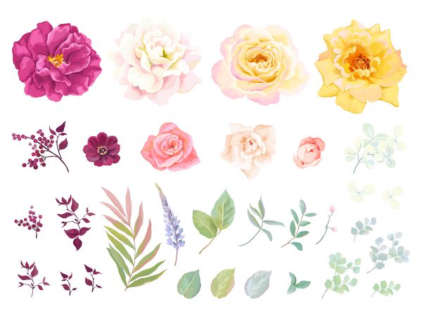 مجموعه بزرگ عناصر گل تصویر برداری گل رز برگ و شاخه به سبک روستایی گلهای مناقصه ای برای طراحی قالب خود