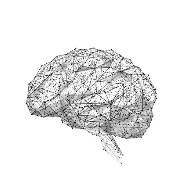پایین مغز پلی خط ماش و نقطه اریگامی در زمینه سفید با یک کتیبه چکیده تصویر برداری چند ضلعی علم و هنر هنر